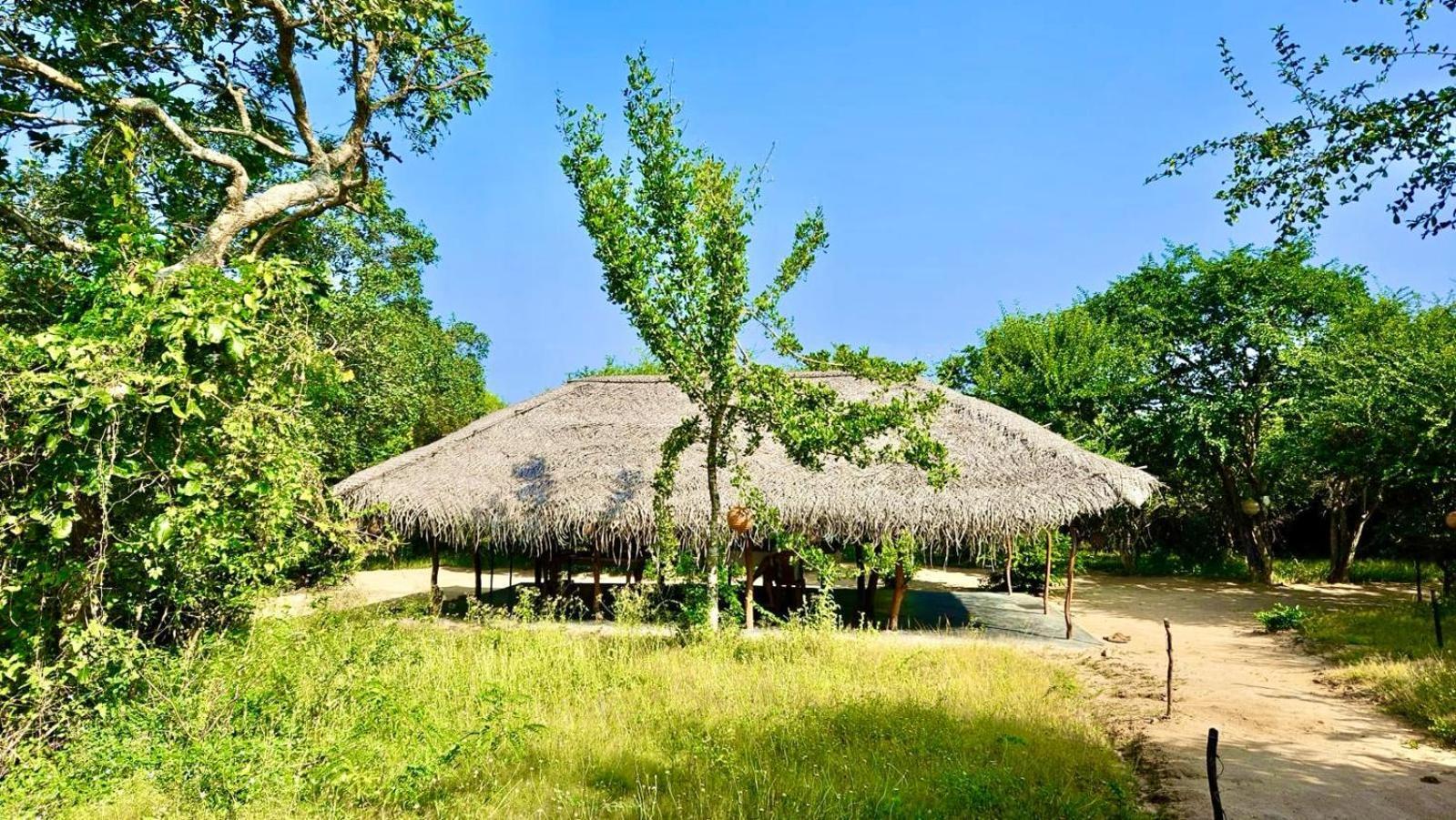 Hotel Eden Yala Exterior foto